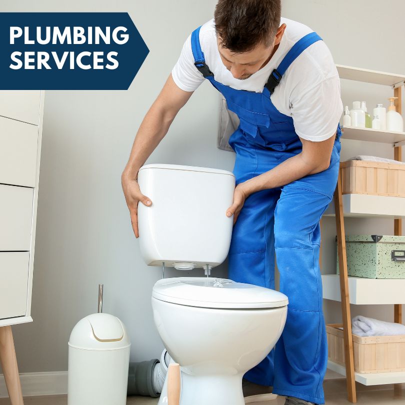 Plumbing Company in Sylvania, GA